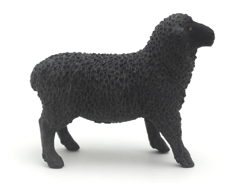 Black Sheep
