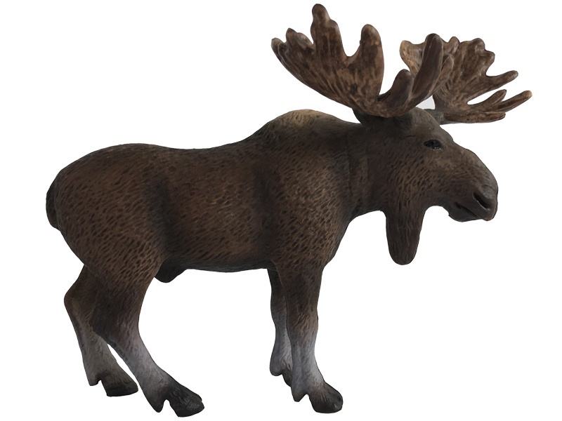 North American Elk