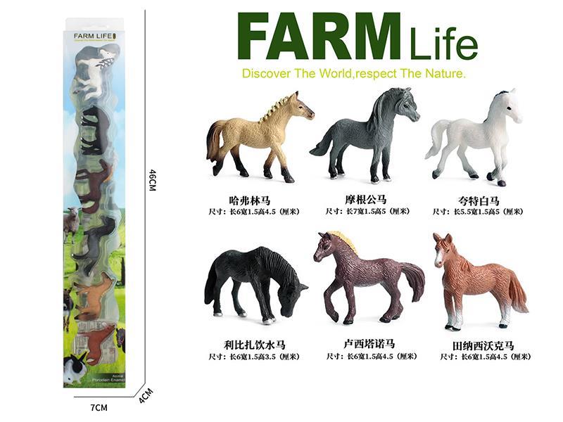 Mini Horse Animal