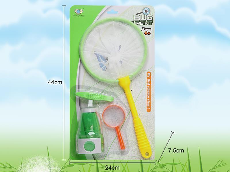 Insect Toy