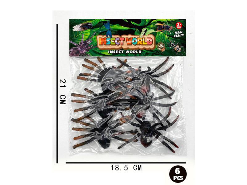Insect Assemblage