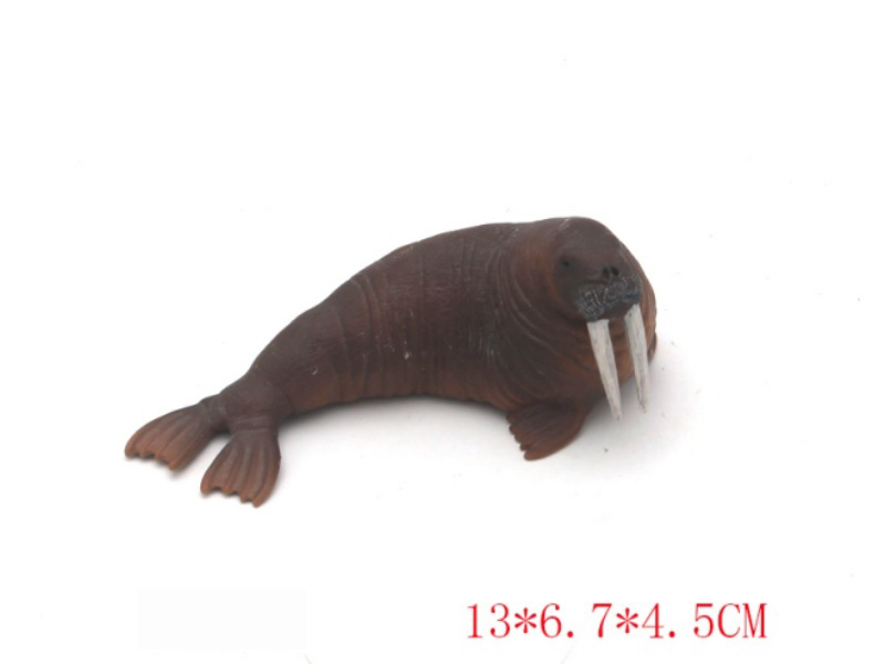 New Walrus