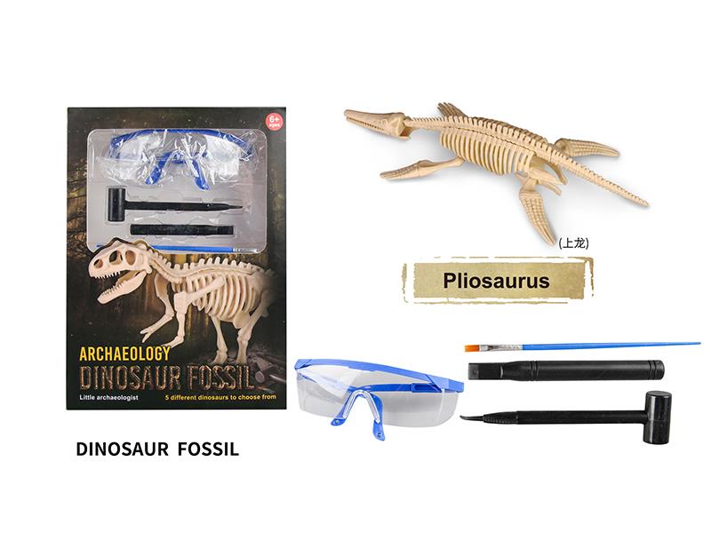 Archaeological Dinosaur Fossil Series - Pliosaurus(With Glasses)