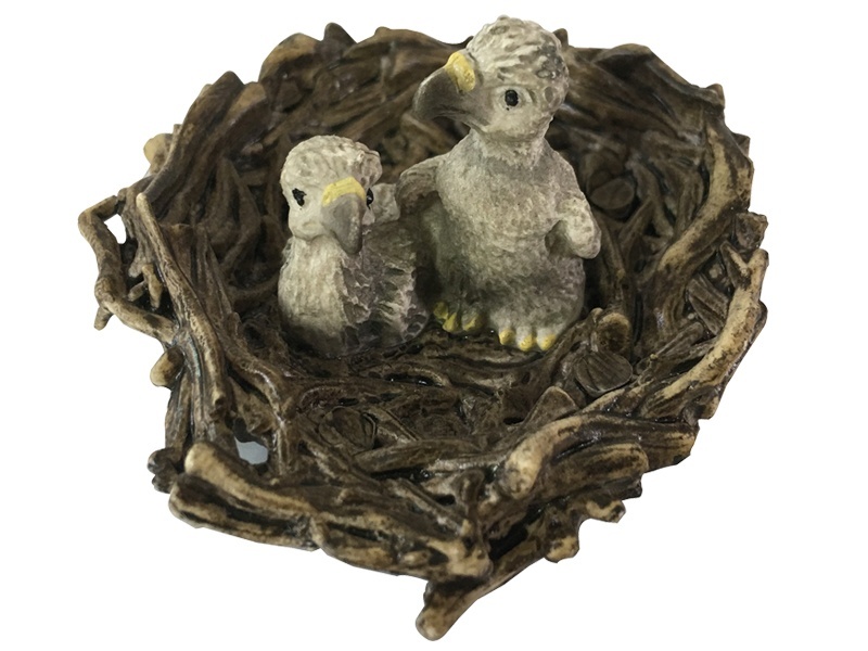 The Young Eagles Are Connected To Their Nests