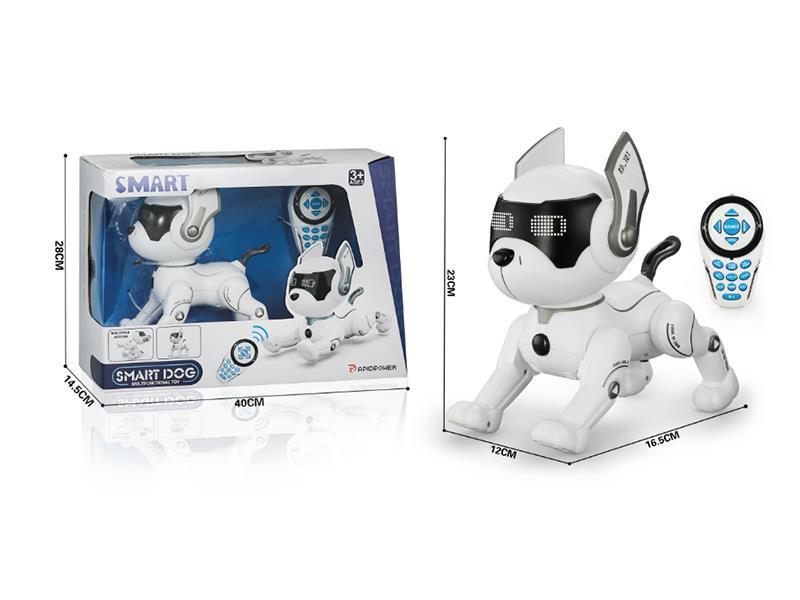 R/C Stunt Dog