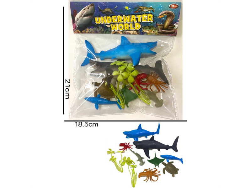 Marine Animals