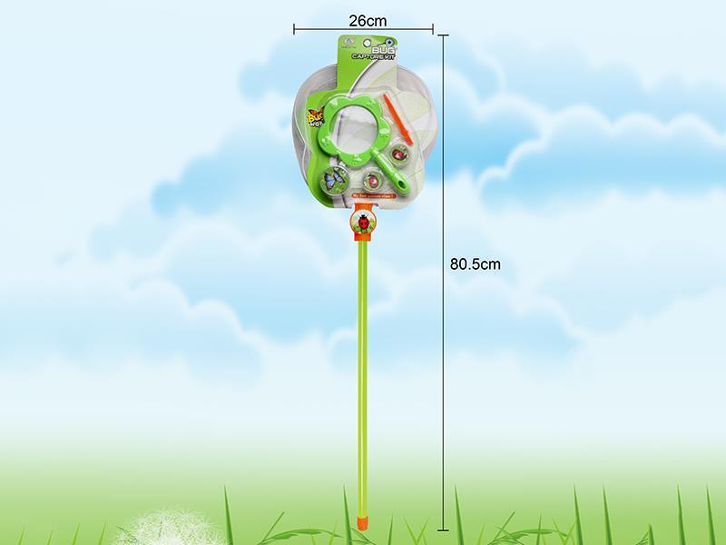 Insect Toy