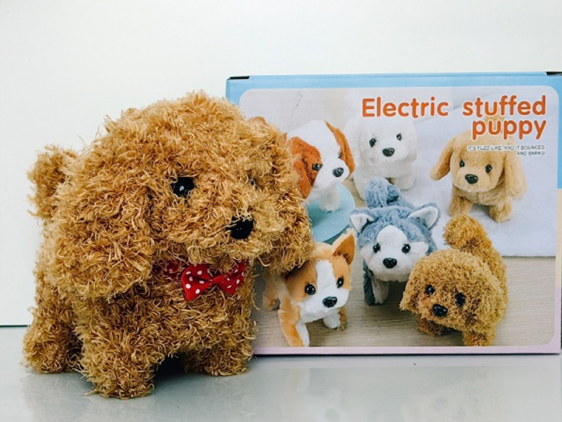 Small Teddy