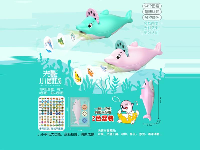 Dolphin projection