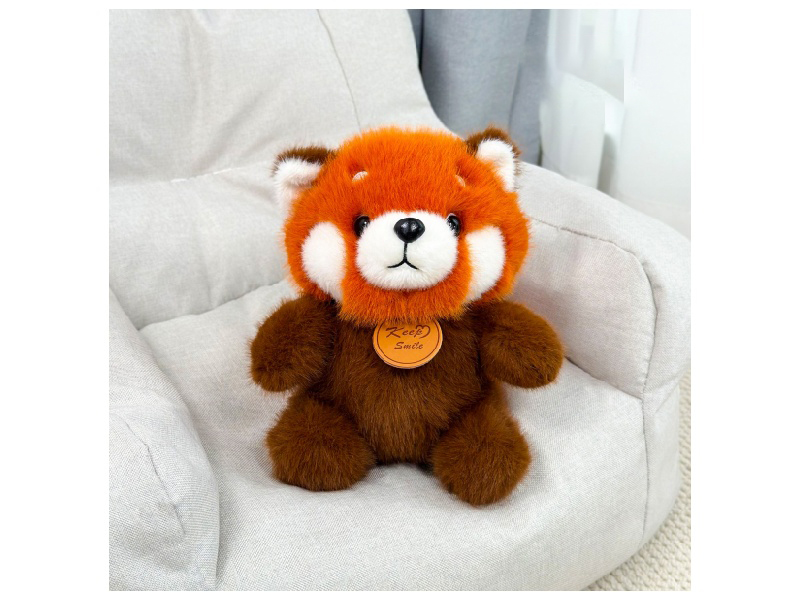 Sitting Raccoon