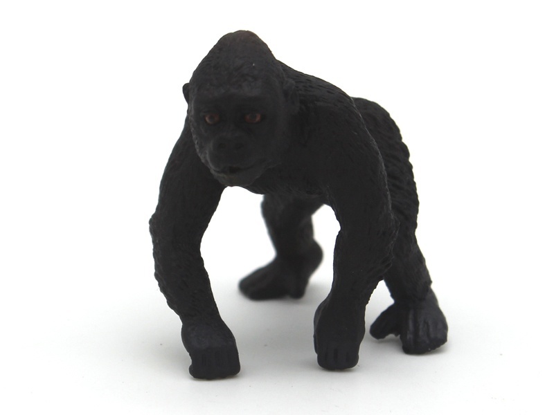 Little Chimpanzee
