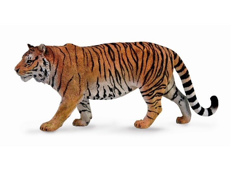 Siberian Yellow Tiger