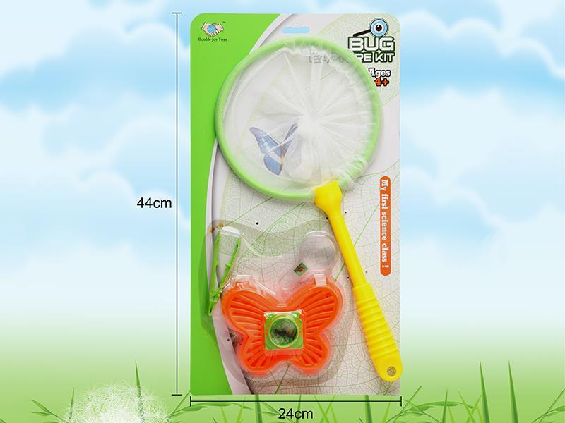 Insect Toy