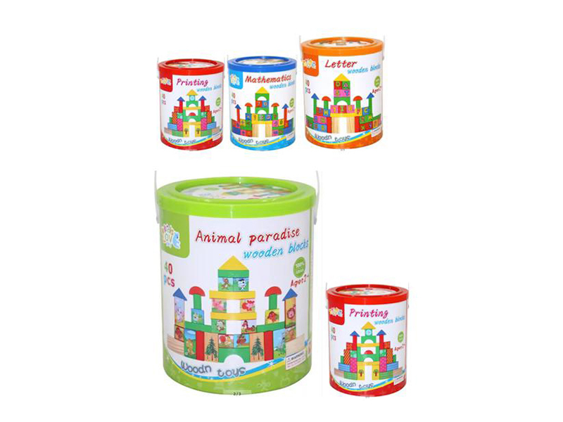 Wooden Building Blocks