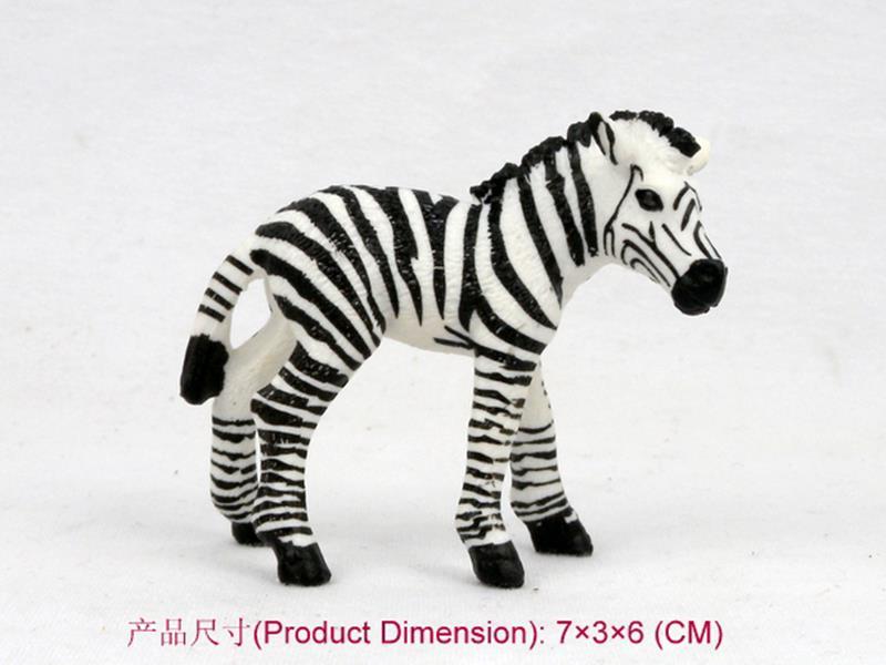Small Zebra