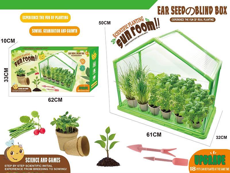 Scientific Planting Sun Room 56PCS