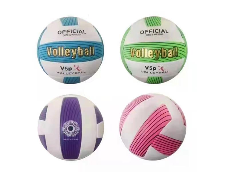 Volleyball