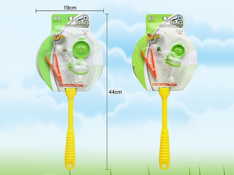 Insect Toy