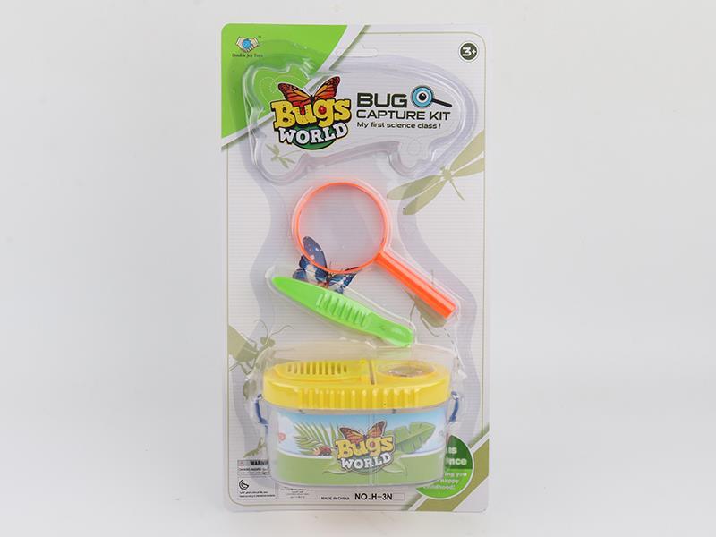 Insect Toy