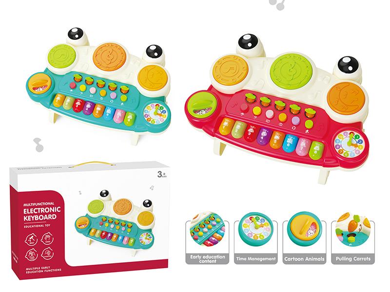 Multifunctional Electronic Organ