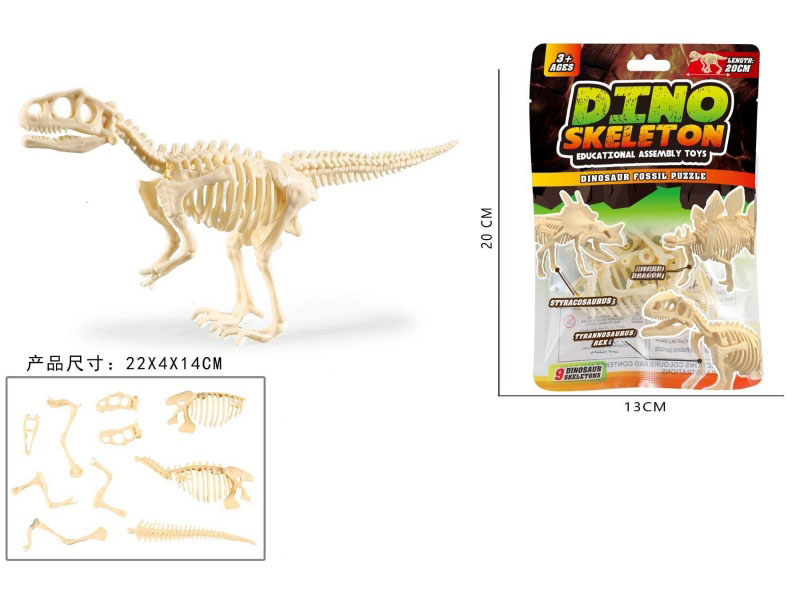 Assemble The Skeleton Of The Tyrannosaurus Rex