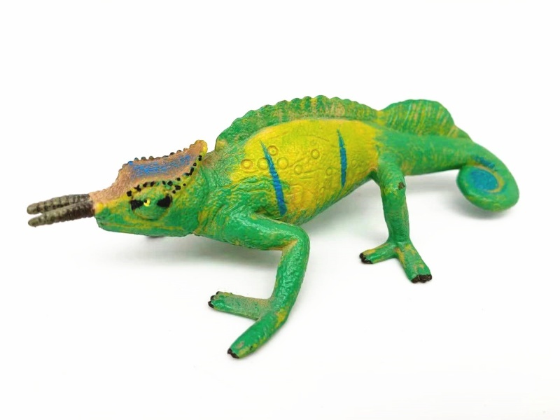 Chameleon