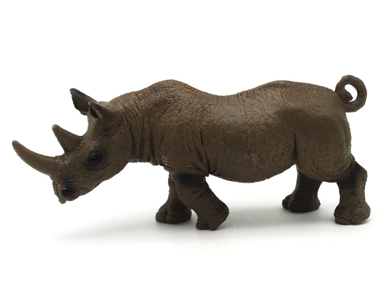 Male Rhinoceros