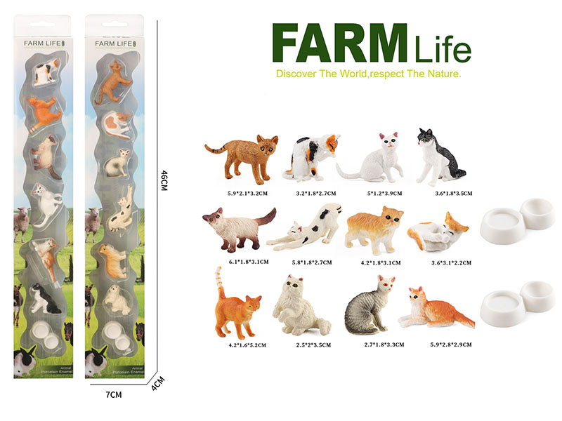 Pet Cat Set