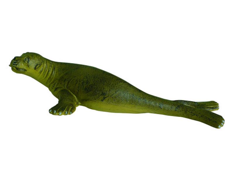 8“ Seal