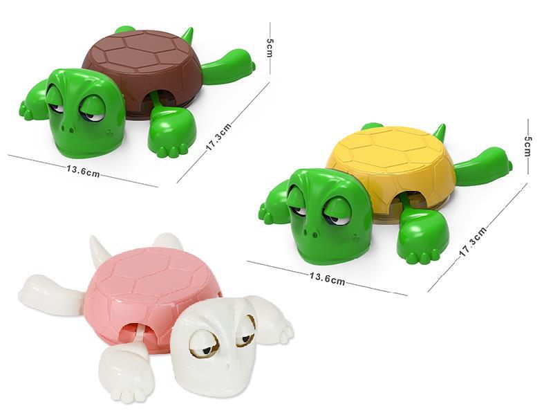 Turtle Coaster