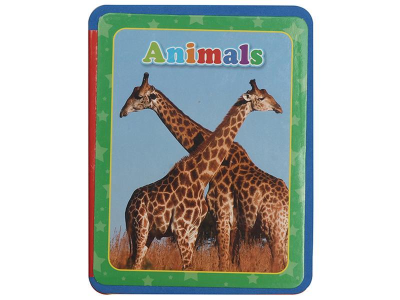 Educational Toy
