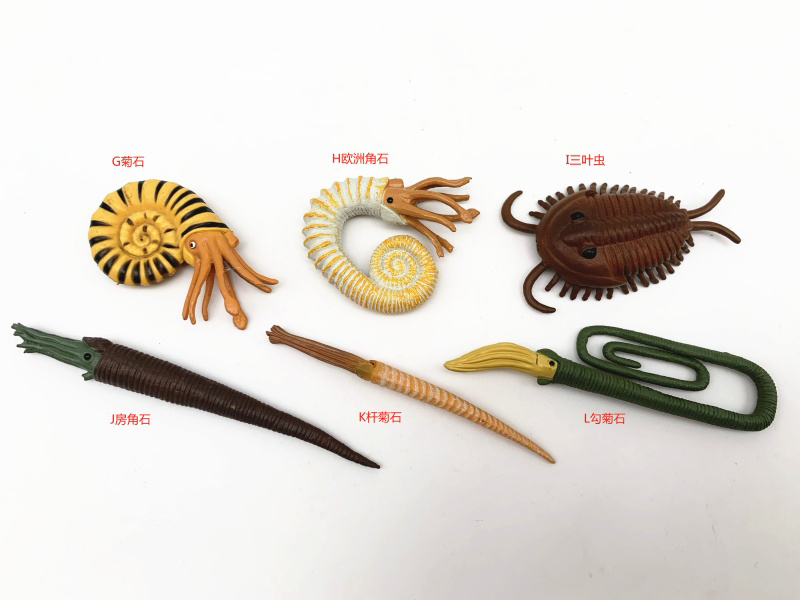 Six Prehistoric Marine Animals, Type B (G Ammonite, H Eurocerite, I Trilobite, J Amphicerite, K Bar Ammonite, L Hook Ammonite)