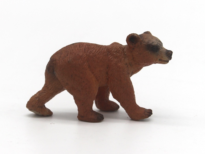 Little Brown Bear