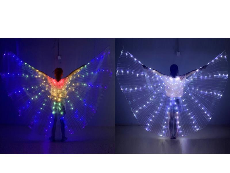 Luminous Wing Clothing