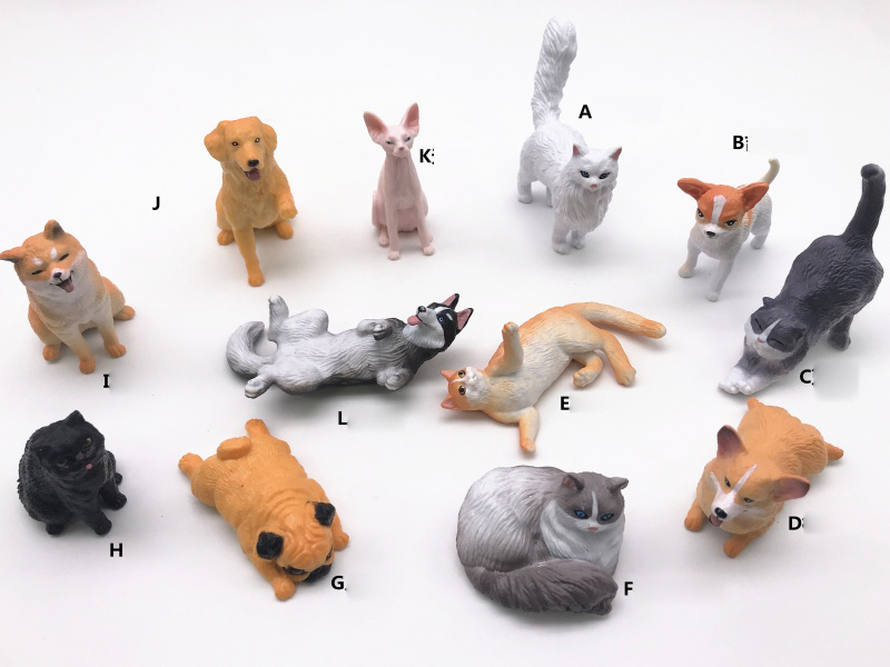 Mini Pet Model