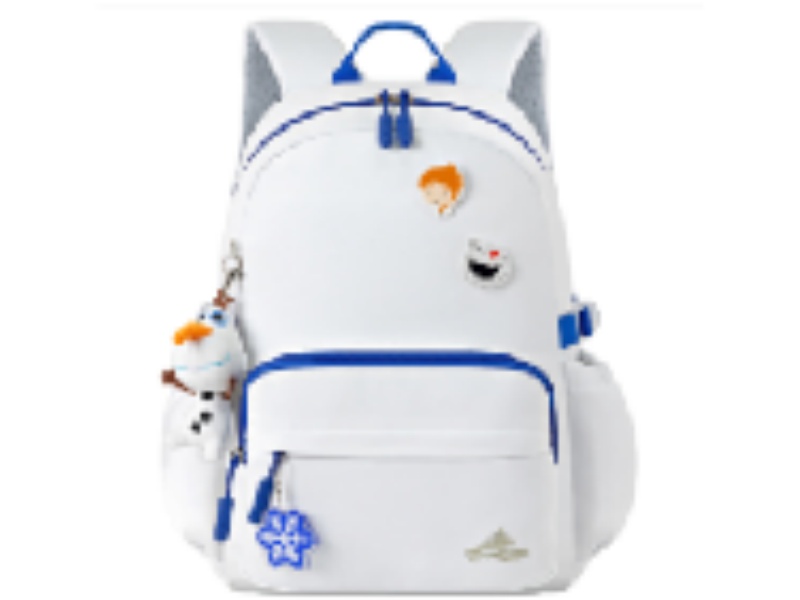 Casual Backpack