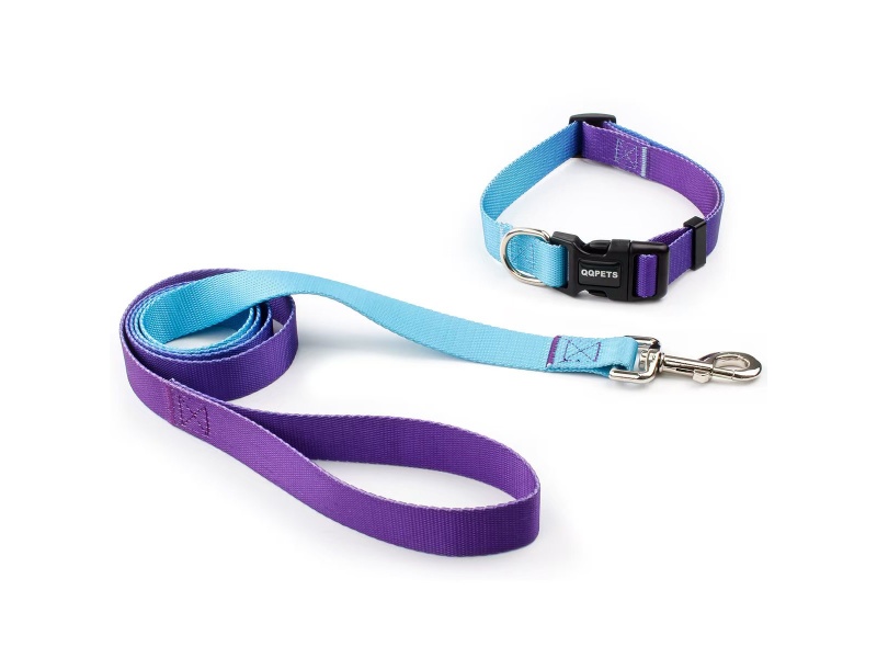 Gradient-Colored Pet Collar + Leash