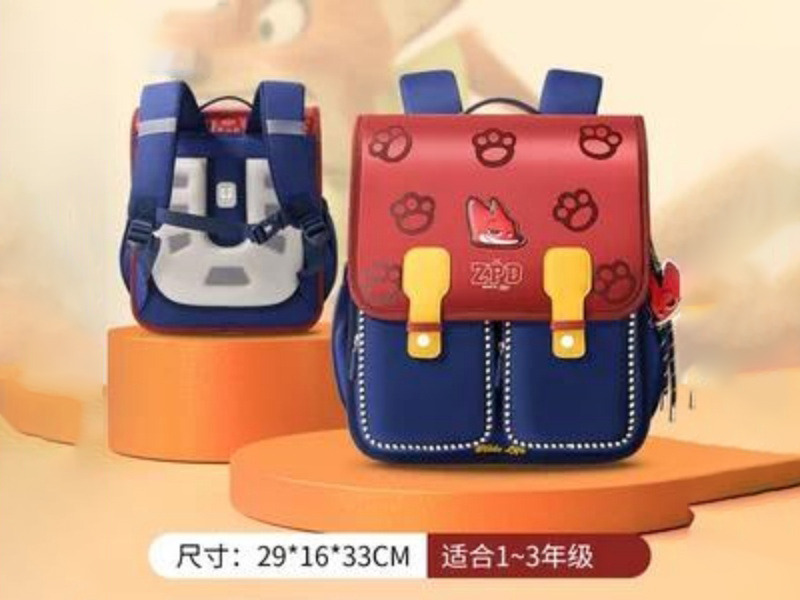 Fashion Schoolbag