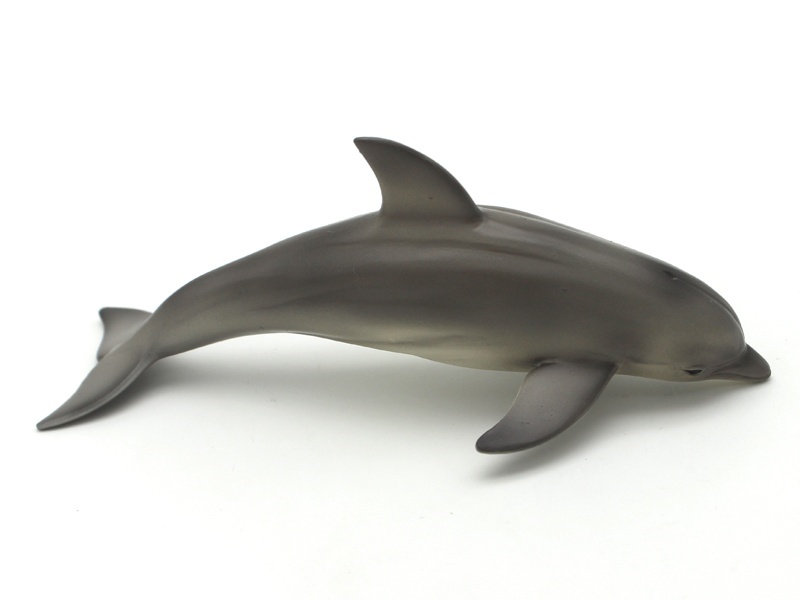 Dolphin