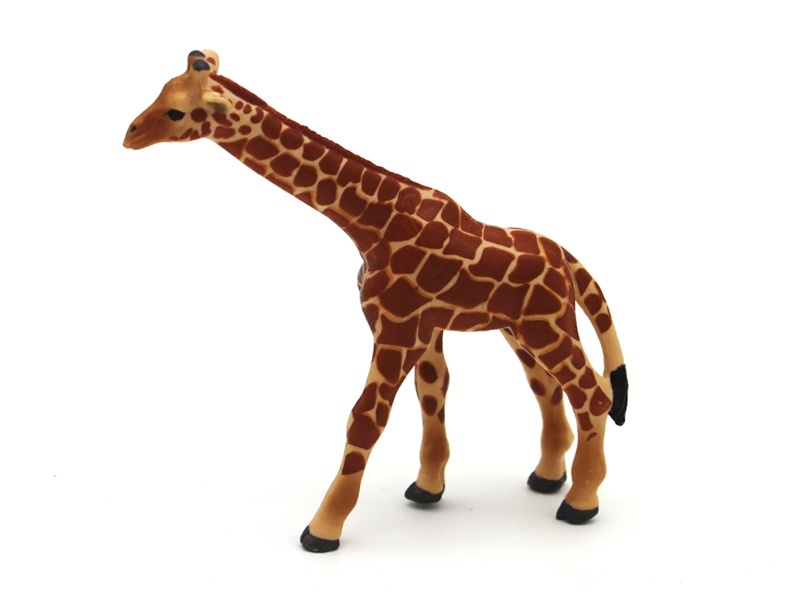 Little Giraffe