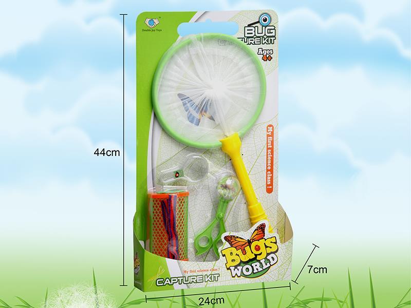 Insect Toy