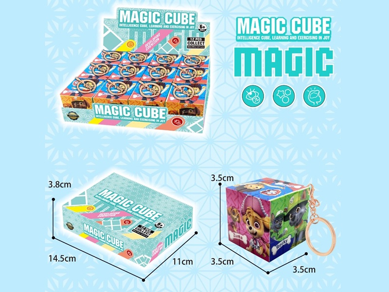 Paw Patrol Magic Cube
