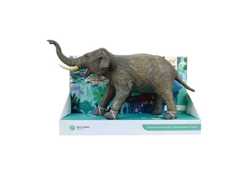 Asian Elephant