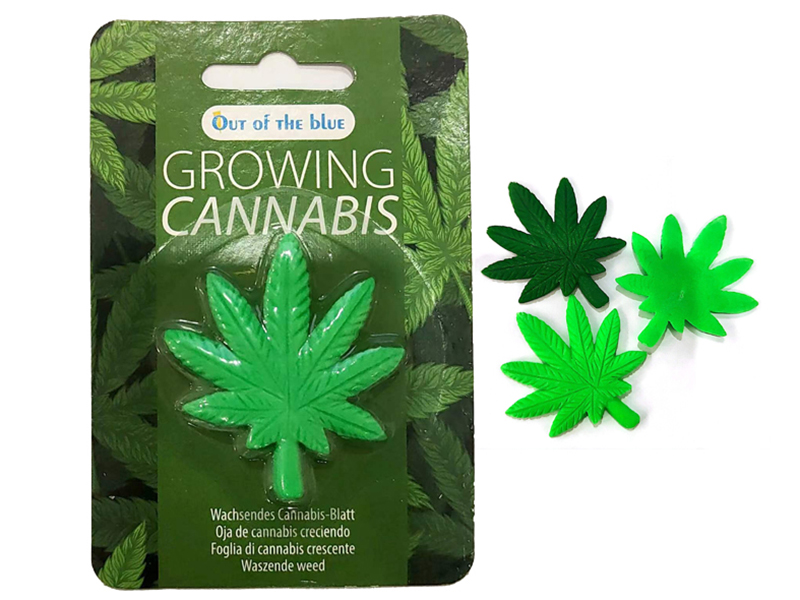 Growing Leaf Toy