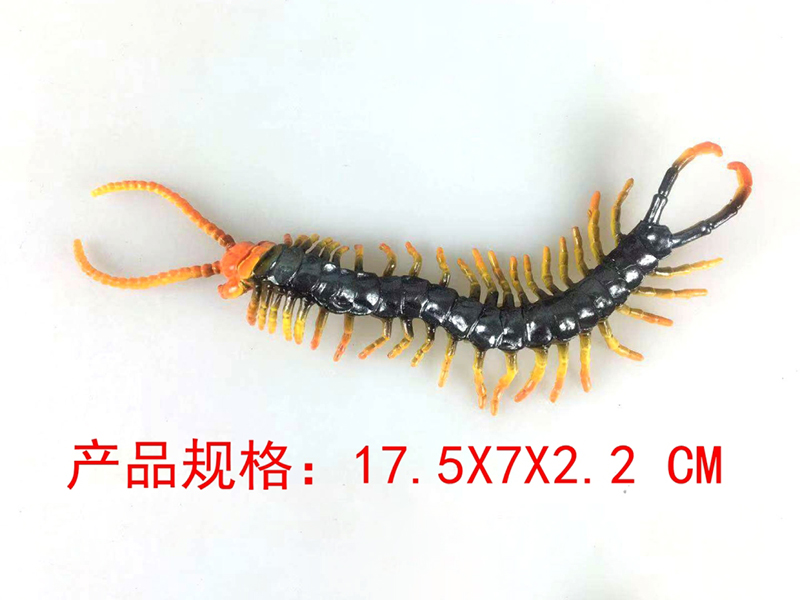 Centipede Model