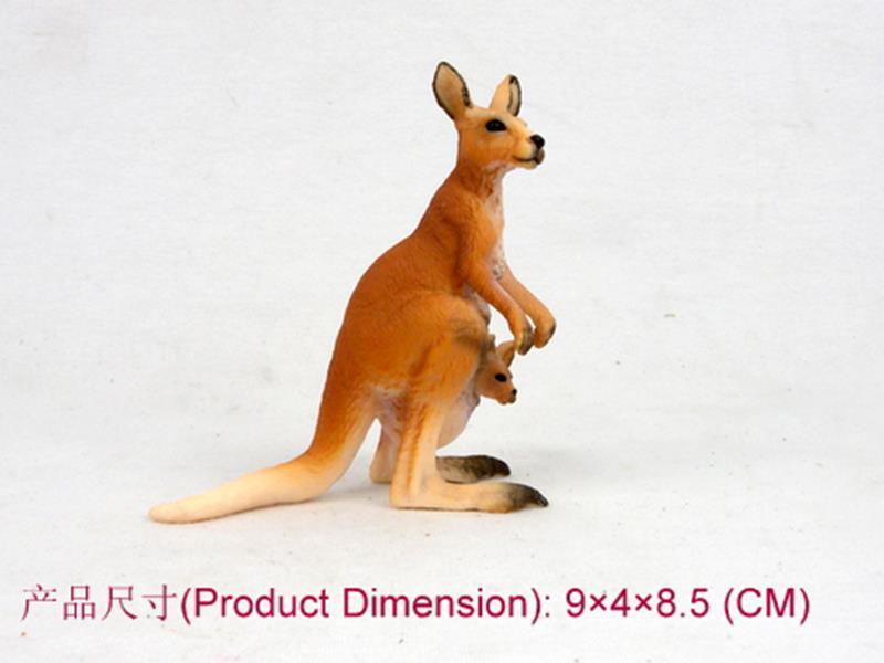 Kangaroo