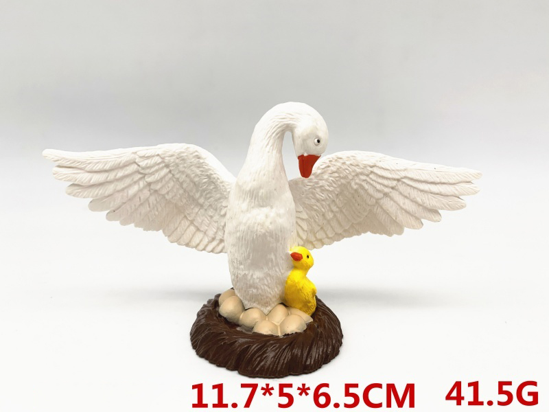 Swan