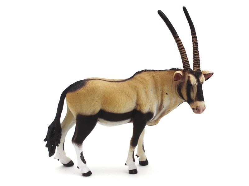 South African Wildebeest