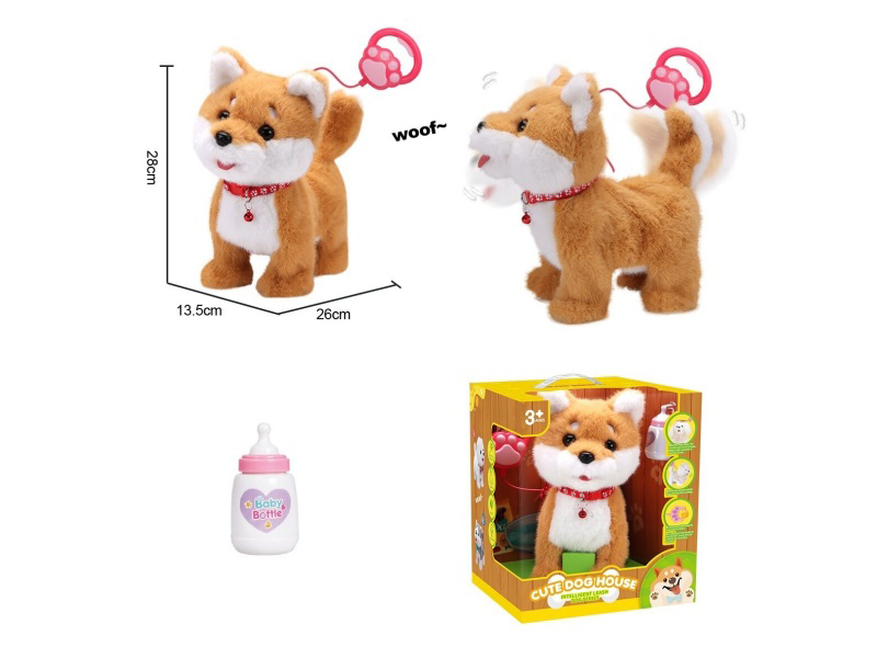Rope Licking Corgis