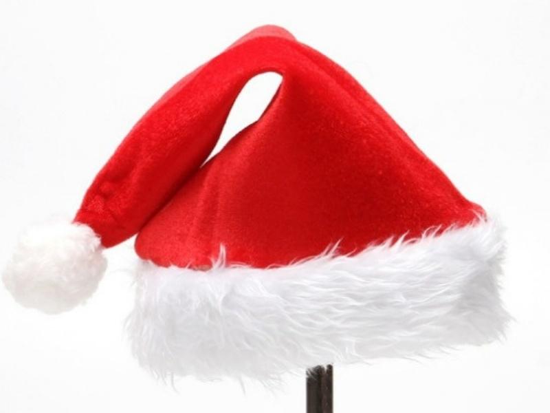 Pleuche Santa Hat